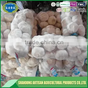 Fresh Garlic for Sale thumbnail-2