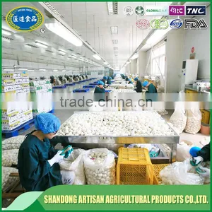 Fresh Normal White Garlic Pure White Garlic China Supplier thumbnail-6