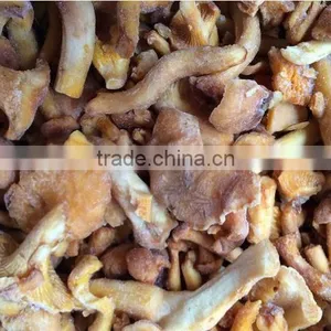 Frozen Grade A Chanterelles Mushrooms thumbnail-2