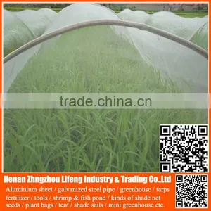 Plastic Agriculture pe Anti-insect Net , Hdpe Greenhouse Insect Net , Nylon Insect Net With Low Price thumbnail-2