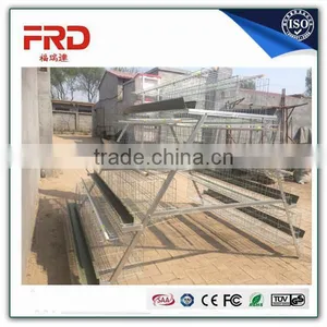 FRD 96, 120,128,160,200birds/set Cage Chicken Coop/design Layer Chicken Cages thumbnail-1