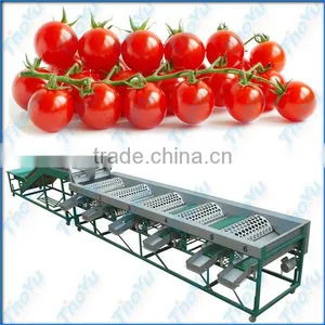 World Popular Salable Tomato Grading Machine for Best Price(SMS:0086-15903675071) thumbnail-1