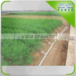 Commercial Greenhouse Drip Irrigation Belt thumbnail-2