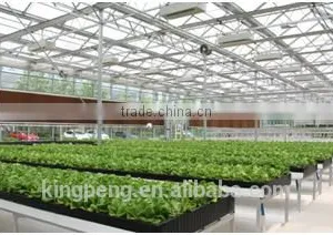 Hydroponic Fruit and Vegetable Glass Greenhouse thumbnail-2