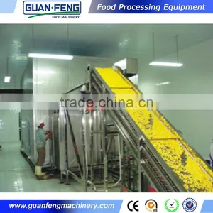 Industrial IQF Machine Vegetable And Fruit Quick Freeze Machine thumbnail-5