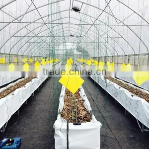 Agriculture Green House Single Span Greenhouse thumbnail-1