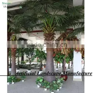 Garden/landscaping/home Decorative Indoor Palm Trees thumbnail-2