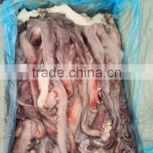 Squid Tentacle of Giant Squid thumbnail-1