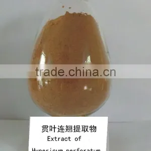 100% Natural St.John's Wort Extract Powder/ Hypericum Perforatum L thumbnail-1