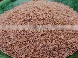 Psyllium Seed thumbnail-1