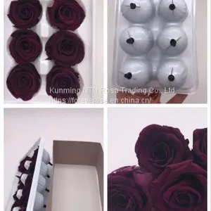 Preserved Rose Flowers for Wedding Decoration Flower Arrangement thumbnail-4