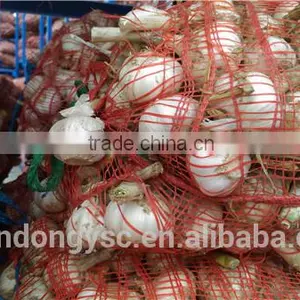 Pure White Garlic thumbnail-2