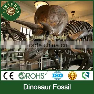 Lisaurus-L-0006 Animal Skeleton Model Jurassic Period Dinosaurs Fossil thumbnail-1