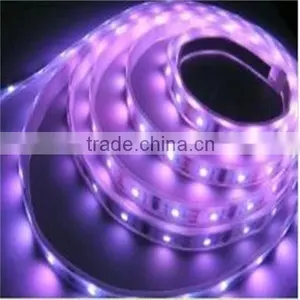 Double Line Smd5050 Rgbw Led Strip Light thumbnail-1