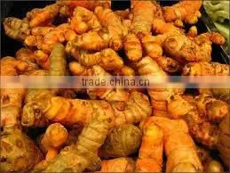 Vietnam Turmeric Powder/Best Whole Turmeric thumbnail-4