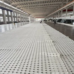 Flexible Net for Underground Coal Mine Working Face, jd Pet600-400ms Plastic False Roof Net, Moving and Withdrawing Face Net With 900kn thumbnail-2