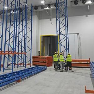 Corrosion-Resistant Cold Storage Racks for Marine Product Processing Plants thumbnail-3