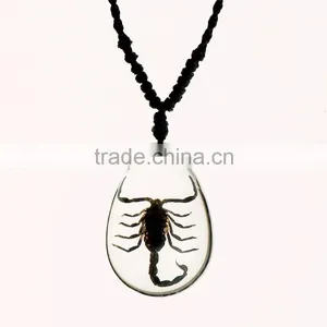 New Wholesale Fashion Lovely Necklace With Real Insect thumbnail-2