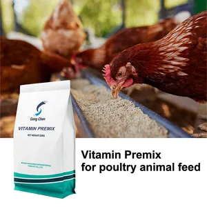 Wuhan Gongchen Vitamin Premix thumbnail-1