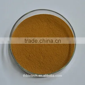 Manufacturer Pure Natural High Quality Rhodiola Rosea Extract, Rhodiola Extract, Rhodiola Rosea Powder Extract thumbnail-2