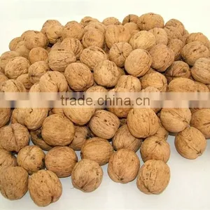 Walnuts Paste 100% Pure First Quality for Bakery and Gelato thumbnail-1