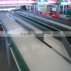 Orange Washing ,waxing ,grading and Packing Production Line thumbnail-3