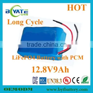 Hot Sell LiFePO4 12V Vacuum Cleaner Battery Factory thumbnail-3