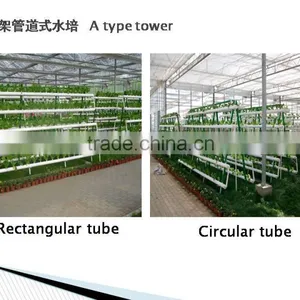 Greenhouse Hydroponics Garden for Vegetables thumbnail-3