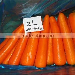 Chines Bulk Fresh Carrots Fresh Carrot Price thumbnail-3