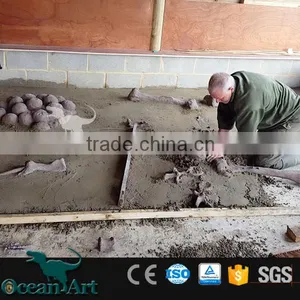 OAV2412 Real Size Dinosaur Fossil Egg for Sale thumbnail-3