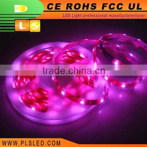 Ags Battery 12v Magic Digital Dream Color Rgb Led Strip With Low Price thumbnail-1