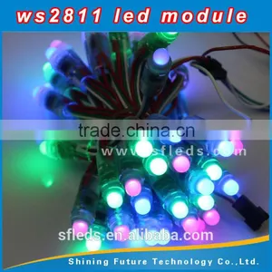 Input DC12V, Waterproof IP68 Ws2811 12v Pixel LED Pixel UCS1903 WS2801 12MM thumbnail-3