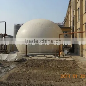 Biogas Engine Generator thumbnail-1
