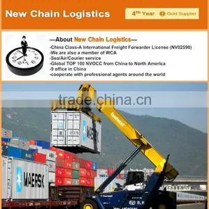 Shenzhen To Miami DDP Container Freight Services thumbnail-6