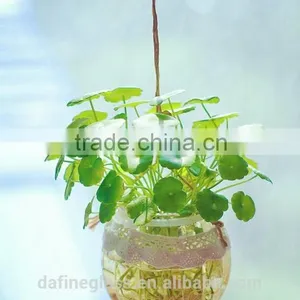 Pumpkin Shape Glass Vase Bottle for Plant With Metal Handle Candle Hydroponic/Home Decoration thumbnail-3