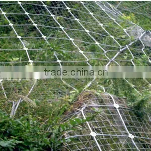 Grass Protection Mesh (Professional Manufacturer ) thumbnail-1