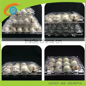 OUCHEN Wholesale PVC Clear Plastic Deviled Egg Carrier Quail Egg Cartons 12 18 20 24 30 Holes for Sale thumbnail-4
