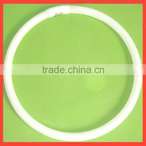 T5 Circline Lamps thumbnail-1