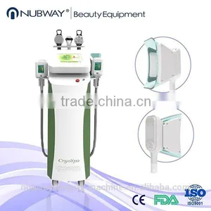Body Reshape High Quality Cryo Slim Cryolipolysis Machine/ 220 / 110V Cryolipolyse Body Slimming Cryolipolysis Machine Fat Freeze thumbnail-2