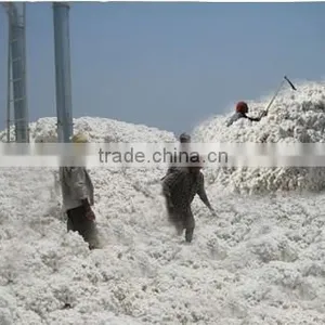 MCU-5, RAW COTTON thumbnail-1