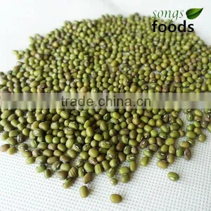 Green Beens in China thumbnail-1