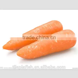 Carrot Seeds, Fresh Carrot, New Crop 2015 thumbnail-1