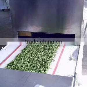 Panasonic Magnetron Spinach Drying and Sterilization Microwave Simultaneously Equipment thumbnail-3