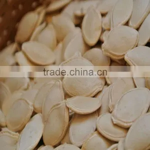 Pumpkin Seeds Shine Skin thumbnail-2