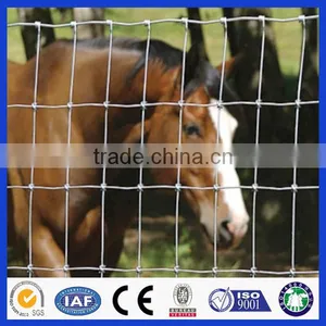 Made in China 20 Years Experience Professional Factory Hot Sale Field Fence thumbnail-4