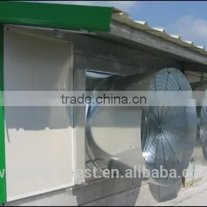 Automatic Poultry Feeding System thumbnail-2