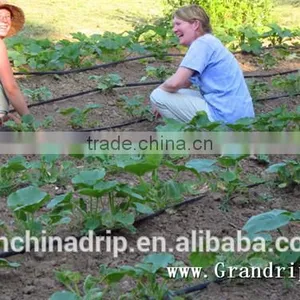 Drip Tape Irrigation Line 16mil Trickle Soaker Garden Hose Trickle Tape thumbnail-4