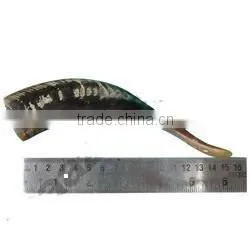 Goat Drinking Horn thumbnail-1