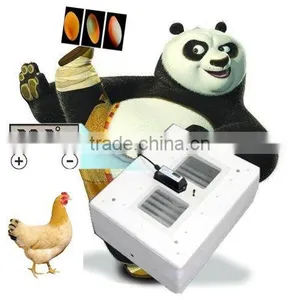 Chicken Mini Egg Incubator High Rate of Hatched Capacity 48 Eggs Whit CE thumbnail-1