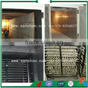 Advanced Material Loading Trays SSJ Vegetable Tray Dryer thumbnail-1